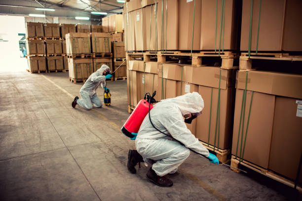 Best Emergency Pest Control  in Shackle Island, TN
