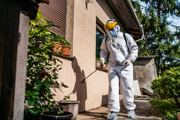 Best Pest Control for Businesses  in Shackle Island, TN
