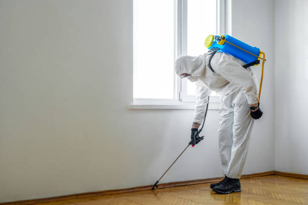 Insect Control in Shackle Island, TN