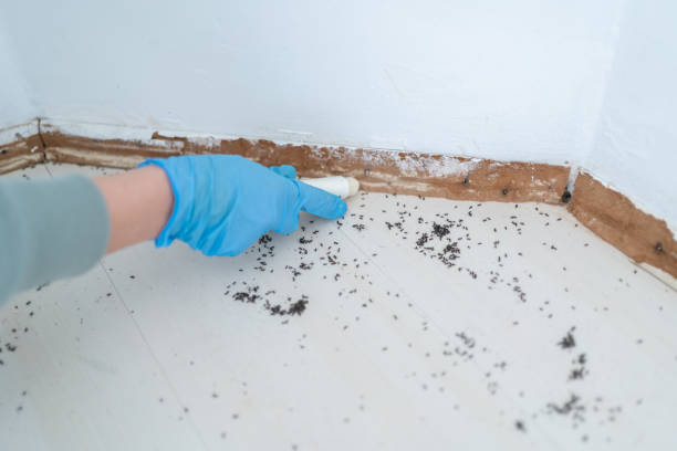 Best Pest Control for Restaurants  in Shackle Island, TN