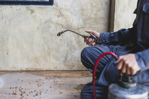 Best Best Pest Control Companies  in Shackle Island, TN