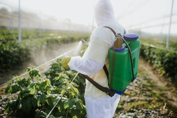 Best Pest Control Near Me  in Shackle Island, TN